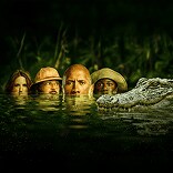 category undefined image