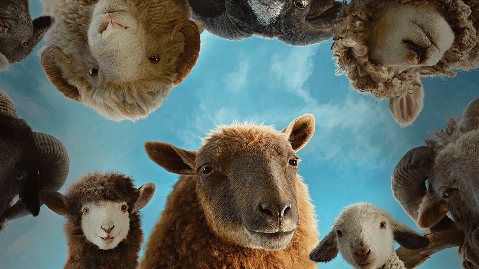 The Sheep Detectives